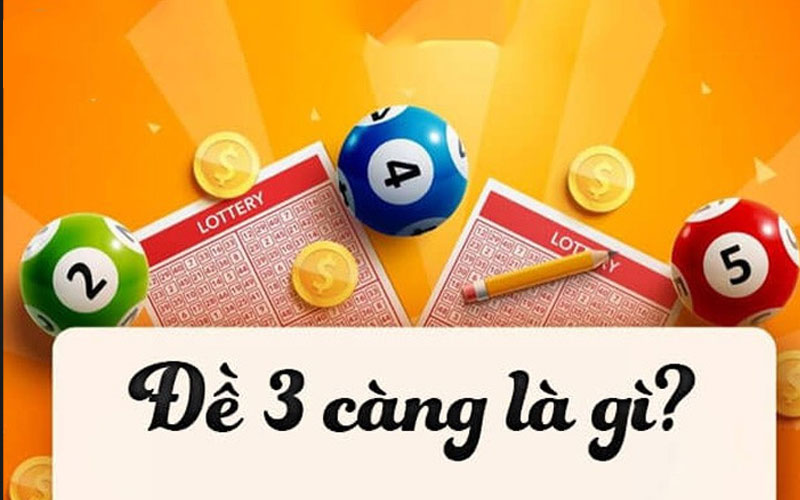 3 càng là gì?