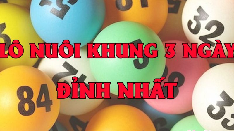 Định nghĩa nuôi lô khung 3 ngày là gì? 