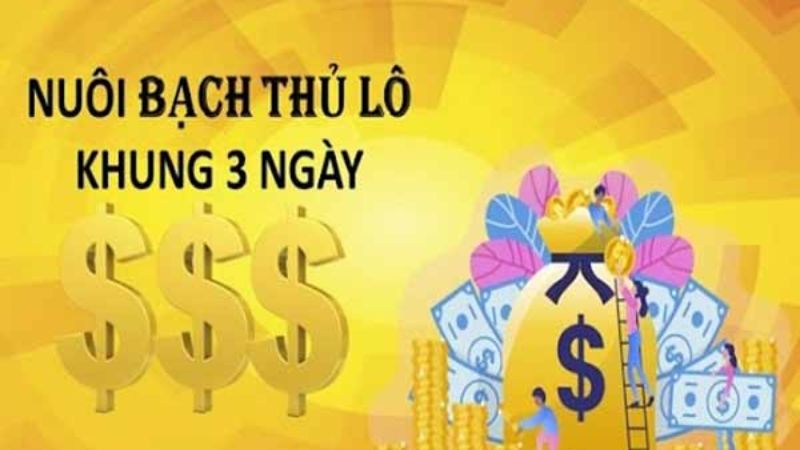 Điểm danh các ưu điểm khi nuôi lô khung 3 ngày 